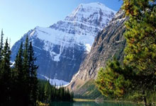 开云官网-乒乓球女子团体赛抢眼一幕，激战连连的简单介绍